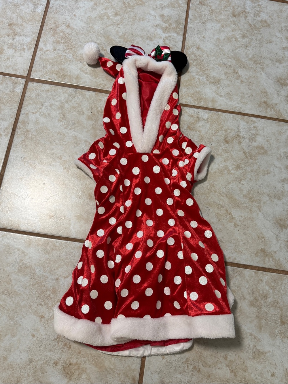 Disney Red and White Polka Dot Minnie Mouse Holiday Dress Costume